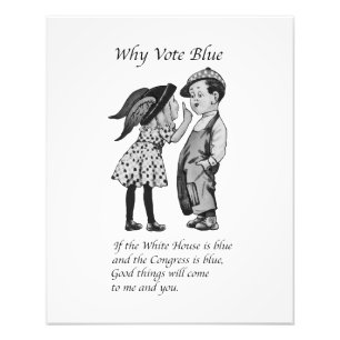 Why Vote Totally Blue in 2028 Photo Print