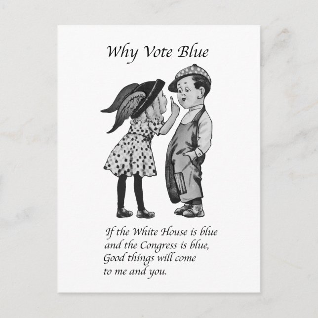 Why Vote Totally Blue in 2028 Postcard (Front)