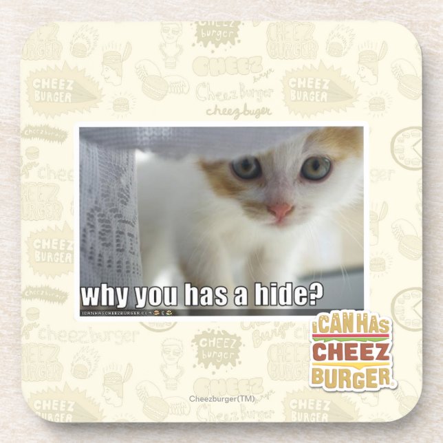 Why you has a hide? coaster (Front)