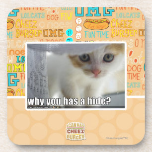 Why you has a hide? coaster