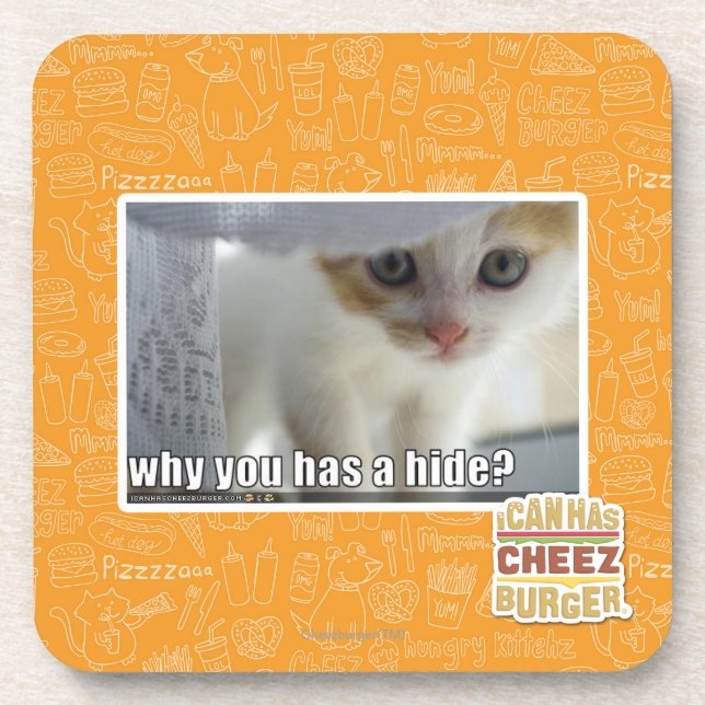Why you has a hide? coaster (Front)
