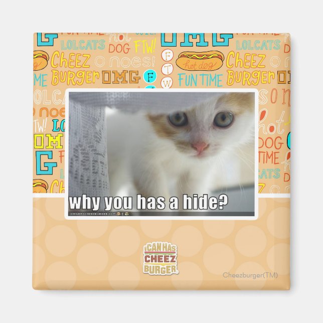 Why you has a hide? magnet (Front)