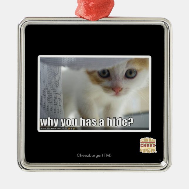 Why you has a hide? metal ornament (Front)