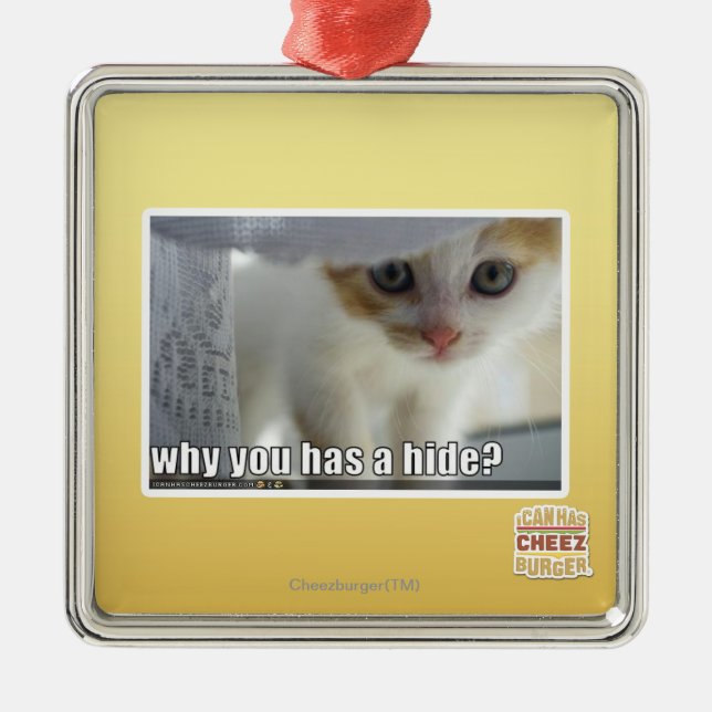 Why you has a hide? metal ornament (Front)