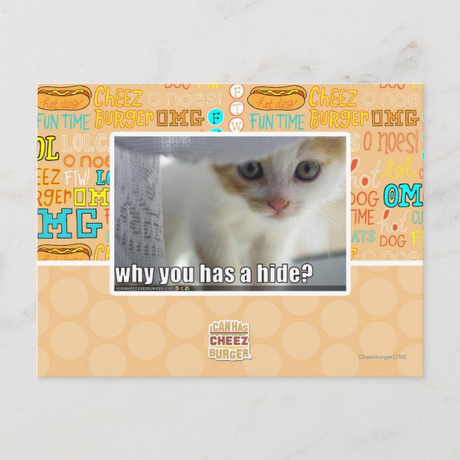Why you has a hide? postcard (Front)