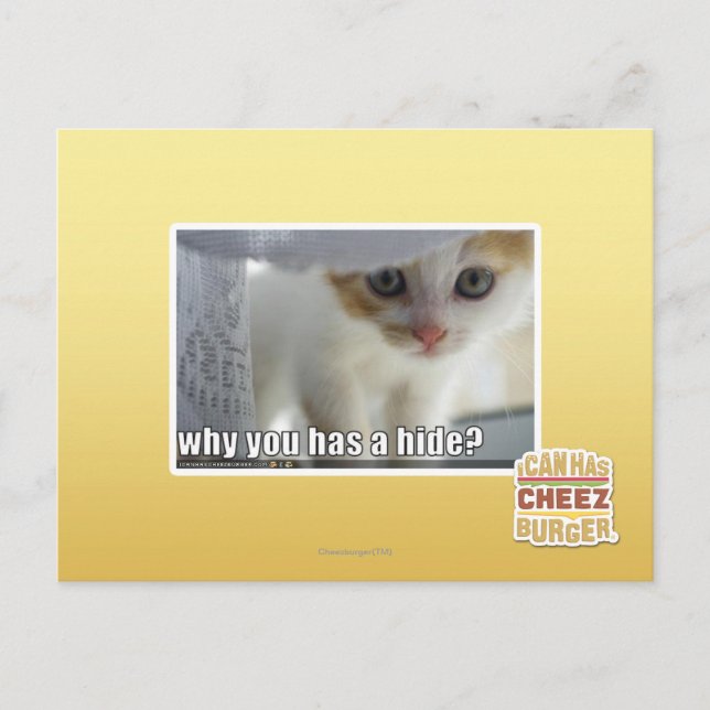 Why you has a hide? postcard (Front)
