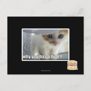 Why you has a hide? postcard