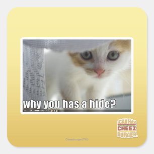 Why you has a hide? square sticker