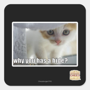 Why you has a hide? square sticker