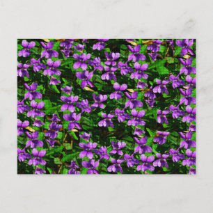 WI State Flower Wood Violet Mosaic Pattern Postcard