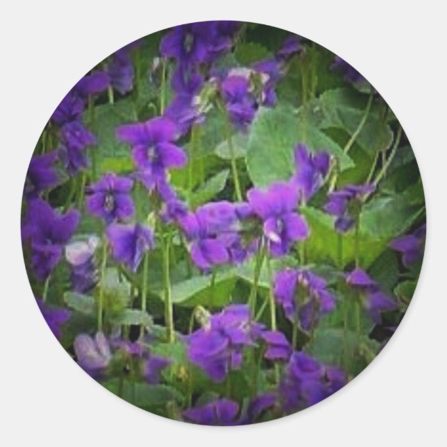 WI wood violets spotlight stickers (Front)