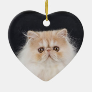 WiccaCats Meira coeur ornement