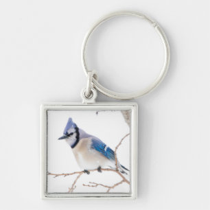 Wichita County, Texas. Blue Jay Keychain