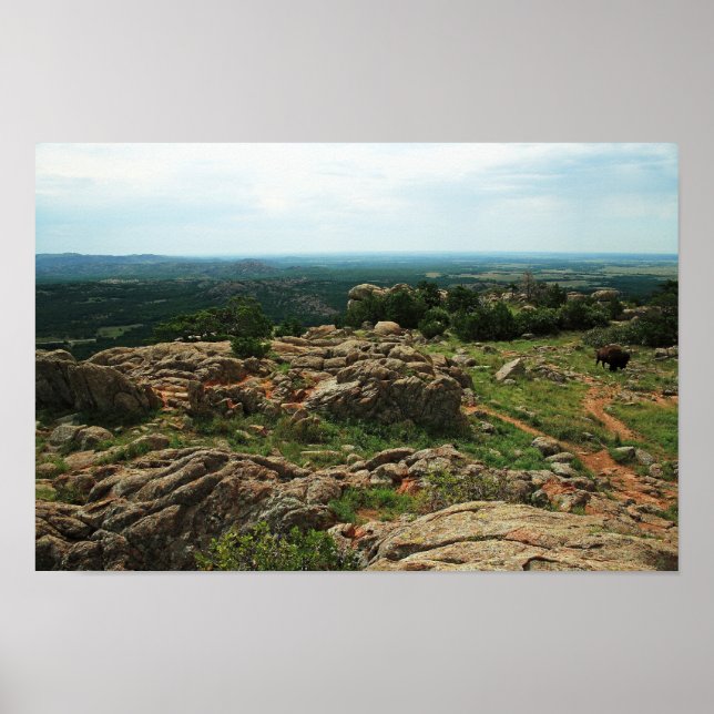 Wichita Mountains Vista with American Bison Poster (Front)