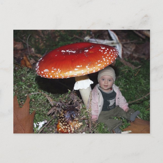 Wichtel - Zwerg unter dem Fliegenpilz Postcard (Front)