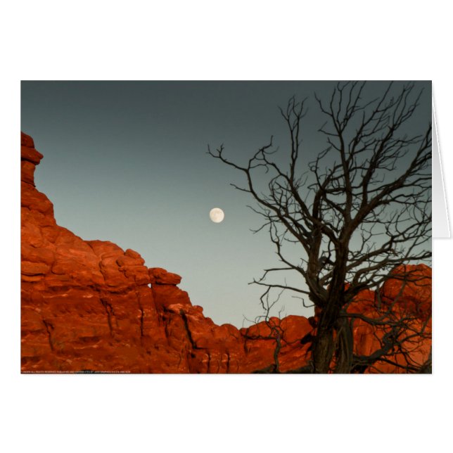 Wicked Moon (Front Horizontal)