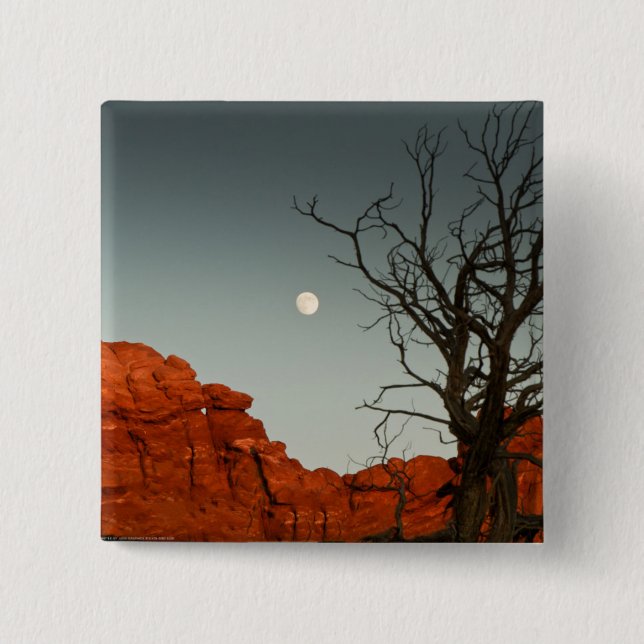 Wicked Moon 2 Inch Square Button (Front)