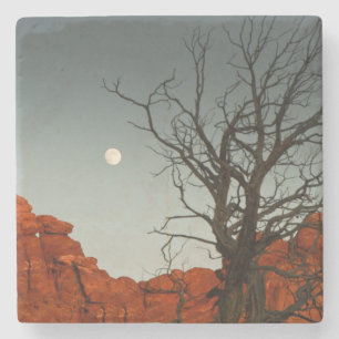 Wicked Moon Stone Coaster