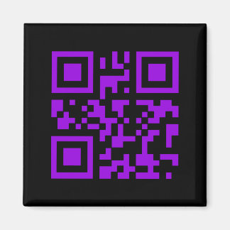 Wicked Witch Bar Code Magnet