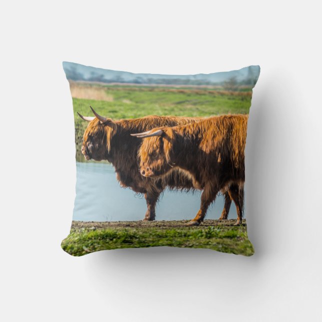 Wicken Fen cattle Throw Pillow (Front)