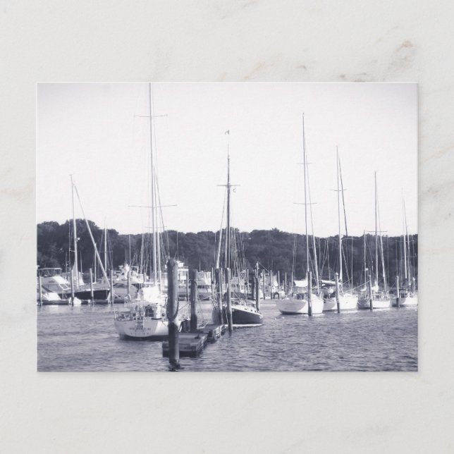 Wickford Harbour Rhode Island BW Post card print (Front)
