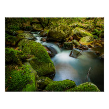 Wicklow's Tranquil Waters