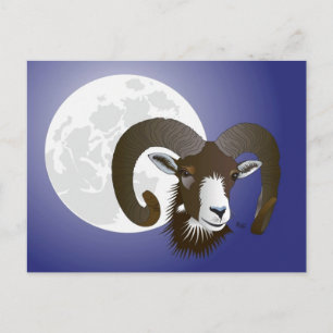 Widder Sternzeichen Postkarte Postcard