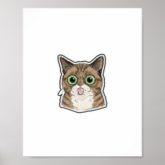 Wide-Eyed Kitten Poster
