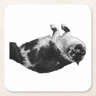 Wide‑Eyes Cat Flip Coaster