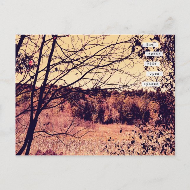 Wide Open Spaces II Postcard (Front)