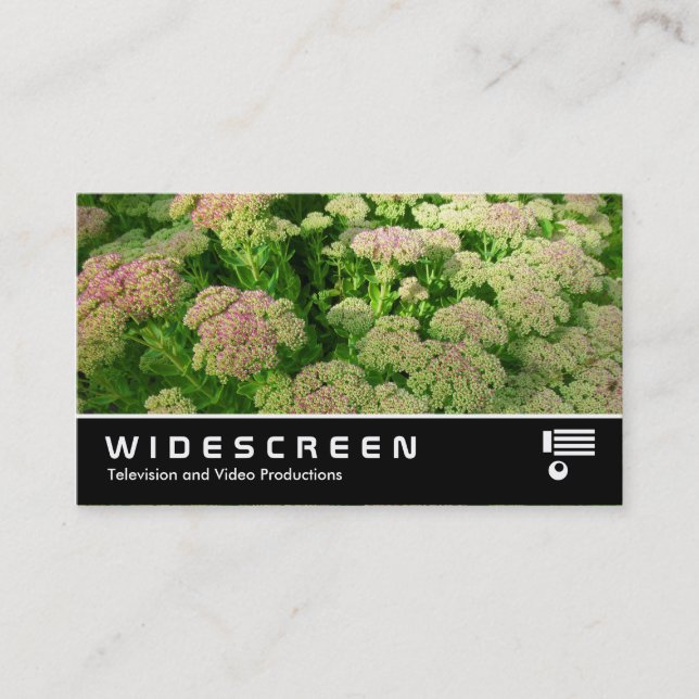 Widescreen 347 - Sedum "Autumn Joy" Business Card (Front)