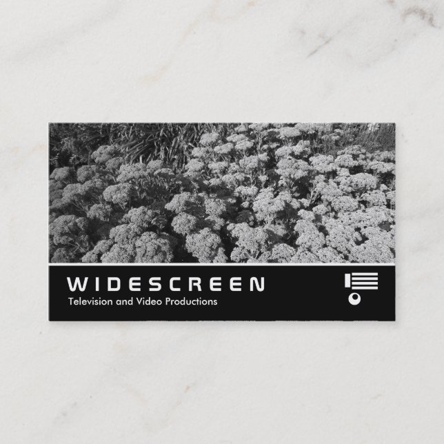 Widescreen 348 - Sedum "Autumn Joy" Business Card (Front)