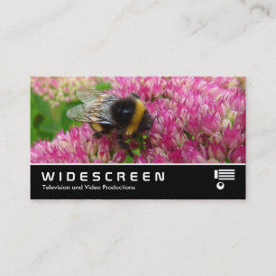 Widescreen 349 - Bumble Bee on Sedum Business Card
