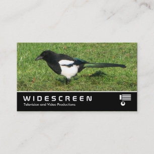 Widescreen 367 - European Magpie Business Card