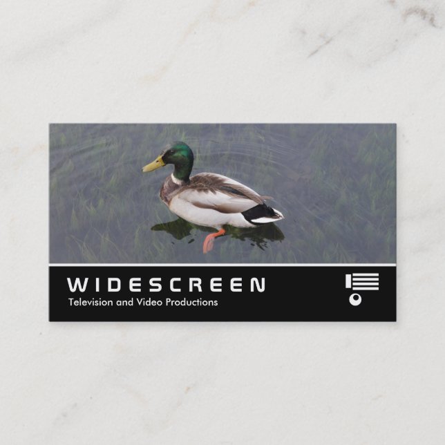 Widescreen 390 - Mallard Duck Business Card (Front)
