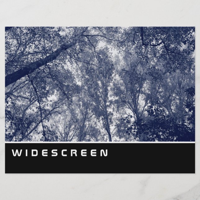 Widescreen - Blue Autumn Flyer (Front)