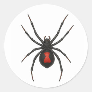 Widow's Warning: Black Widow Spider Classic Round Sticker