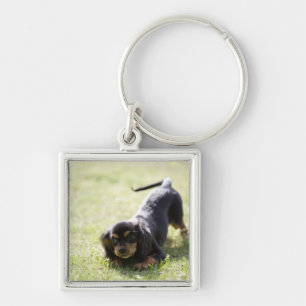 Wiener dog (black) keychain