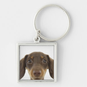 Wiener Dog (brown) 2 Keychain