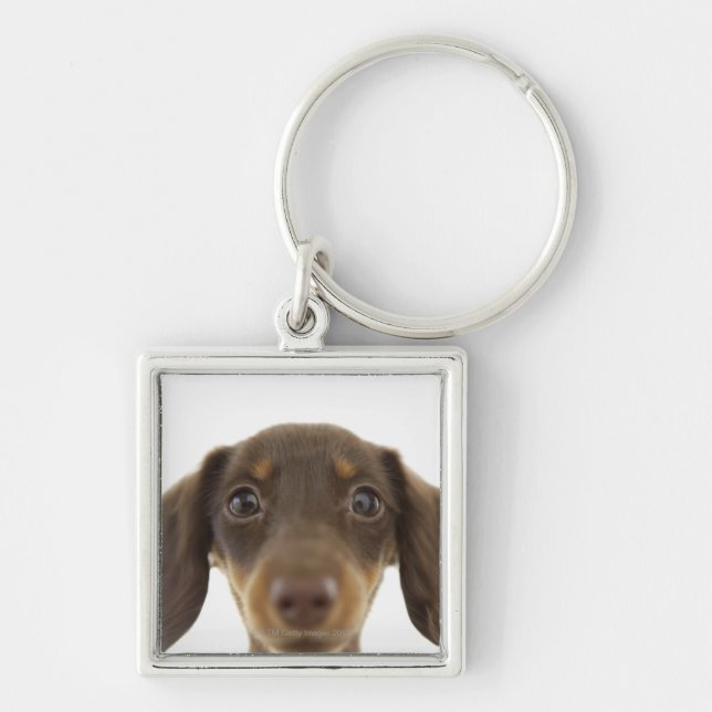 Wiener Dog (brown) 2 Keychain (Front)