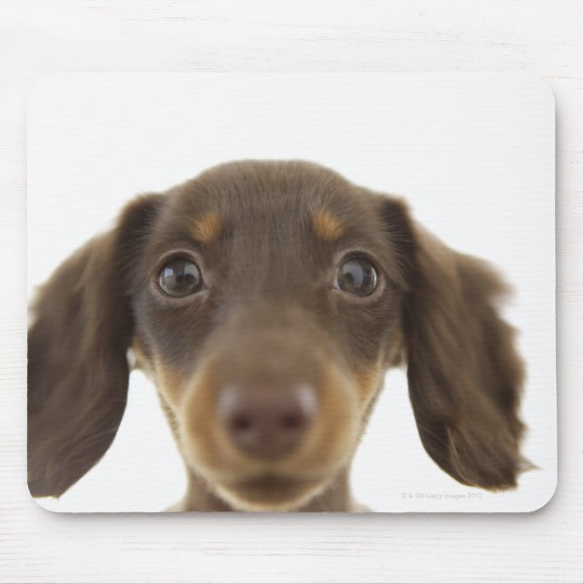 Wiener Dog (brown) 2 Mouse Pad (Front)