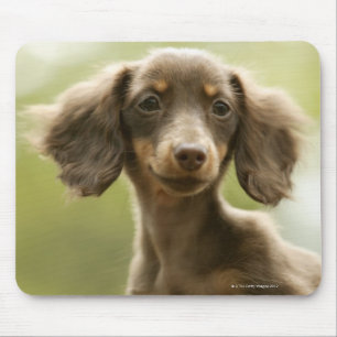 Wiener Dog (brown) Mouse Pad