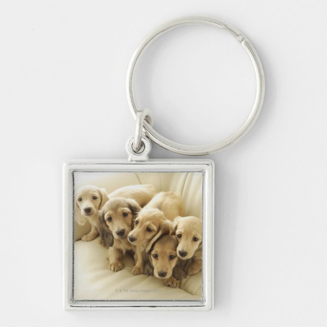Wiener puppies keychain (Front)