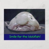 wierd fish