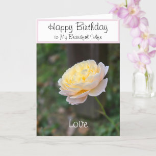 Wife Birthday Flowers or for Anyone Card