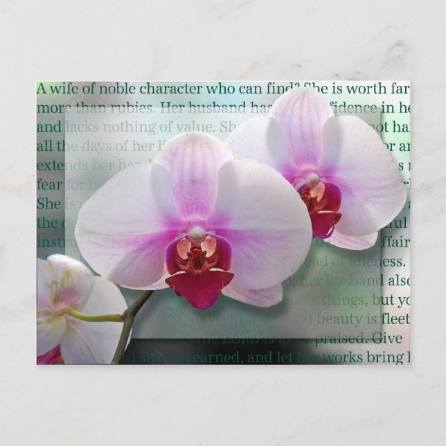 Wife of Noble Character Postcard (Front)