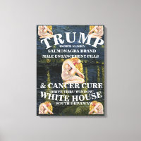 WIFEY TRAD WIFE COST AFFORD PRICE HEALTHCARE CARE