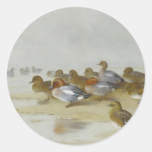 Wigeon and Teal by the water's edge, Art  Classic Round Sticker