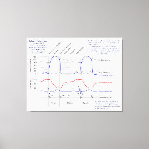 Wiggers Diagram Canvas Print