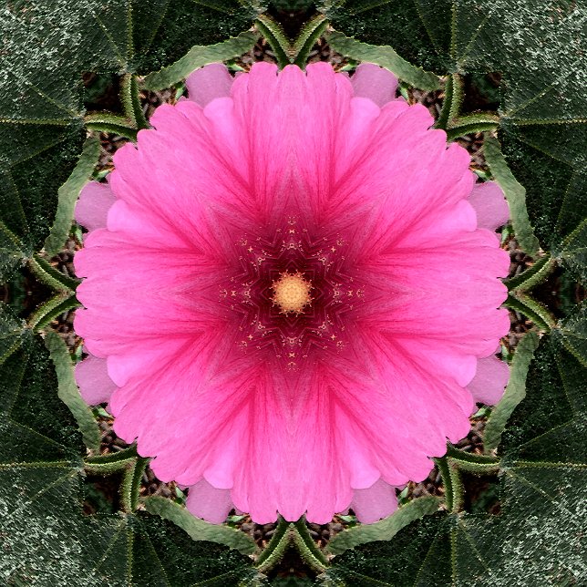 Wigglin'..... Notebook (Creator Uploaded)